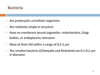 Bacteria
• Are prokaryotic unicellular organisms
• Are relatively simple in structure
• Have no membrane bound organelles: mitochondria, Golgi
bodies, or endoplasmic reticulum
• Most of them fall within a range of 0.2-2 μm
• The smallest bacteria (Chlamydia and Rickettsia) are 0.1-0.2 μm
in diameter
42
 