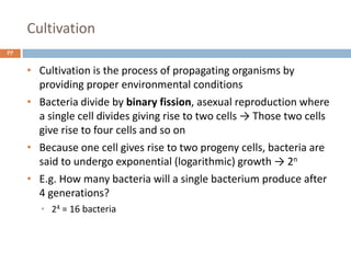 Cultivation
77
• Cultivation is the process of propagating organisms by
providing proper environmental conditions
• Bacteria divide by binary fission, asexual reproduction where
a single cell divides giving rise to two cells → Those two cells
give rise to four cells and so on
• Because one cell gives rise to two progeny cells, bacteria are
said to undergo exponential (logarithmic) growth → 2n
• E.g. How many bacteria will a single bacterium produce after
4 generations?
• 24 = 16 bacteria
 