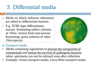 5. Differential media
85
 Media to which indicator substances
are added to differentiate bacteria
 E.g. TCBS Agar differentiates
sucrose fermenting yellow colonies
of Vibrio cholerae from non-sucrose
fermenting green colonies of other
Vibrio species
6. Transport media
• Media containing ingredients to prevent the overgrowth of
commensals and ensure the survival of pathogenic bacteria
when specimens can not be cultured soon after collection
• Example: Amies transport media, Carry-Blair transport media
 