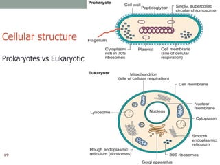 2
Cellular structure
Prokaryotes vs Eukaryotic
89
 