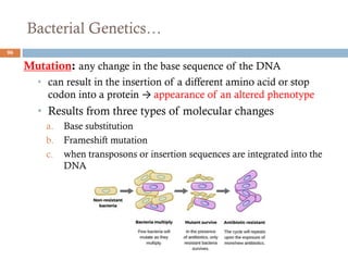 Bacterial Genetics…
Mutation: any change in the base sequence of the DNA
• can result in the insertion of a different amino acid or stop
codon into a protein → appearance of an altered phenotype
• Results from three types of molecular changes
a. Base substitution
b. Frameshift mutation
c. when transposons or insertion sequences are integrated into the
DNA
96
 