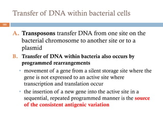 Transfer of DNA within bacterial cells
A. Transposons transfer DNA from one site on the
bacterial chromosome to another site or to a
plasmid
B. Transfer of DNA within bacteria also occurs by
programmed rearrangements
• movement of a gene from a silent storage site where the
gene is not expressed to an active site where
transcription and translation occur
• the insertion of a new gene into the active site in a
sequential, repeated programmed manner is the source
of the consistent antigenic variation
101
 