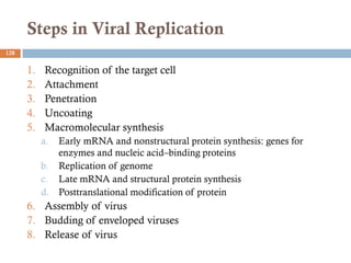 Steps in Viral Replication
128
1. Recognition of the target cell
2. Attachment
3. Penetration
4. Uncoating
5. Macromolecular synthesis
a. Early mRNA and nonstructural protein synthesis: genes for
enzymes and nucleic acid–binding proteins
b. Replication of genome
c. Late mRNA and structural protein synthesis
d. Posttranslational modification of protein
6. Assembly of virus
7. Budding of enveloped viruses
8. Release of virus
 