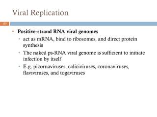 Viral Replication
133
• Positive-strand RNA viral genomes
• act as mRNA, bind to ribosomes, and direct protein
synthesis
• The naked ps-RNA viral genome is sufficient to initiate
infection by itself
• E.g. picornaviruses, caliciviruses, coronaviruses,
flaviviruses, and togaviruses
 