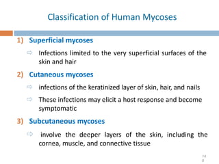 Classification of Human Mycoses
1) Superficial mycoses
 Infections limited to the very superficial surfaces of the
skin and hair
2) Cutaneous mycoses
 infections of the keratinized layer of skin, hair, and nails
 These infections may elicit a host response and become
symptomatic
3) Subcutaneous mycoses
 involve the deeper layers of the skin, including the
cornea, muscle, and connective tissue
14
9
 