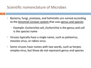 Scientific nomenclature of Microbes
15
• Bacteria, fungi, protozoa, and helminths are named according
to the binomial Linnean system that uses genus and species
• Example: Escherichia coli, Escherichia is the genus and coli
is the species name
• Viruses typically have a single name, such as poliovirus,
measles virus, or rabies virus.
• Some viruses have names with two words, such as herpes
simplex virus, but those do not represent genus and species
 