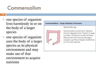 Commensalism
156
• one species of organism
lives harmlessly in or on
the body of a larger
species
• one species of organism
uses the body of a larger
species as its physical
environment and may
make use of that
environment to acquire
nutrients
 