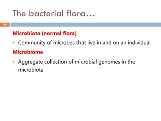 The bacterial flora…
161
Microbiota (normal flora)
• Community of microbes that live in and on an individual
Microbiome
• Aggregate collection of microbial genomes in the
microbiota
 
