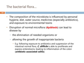 The bacterial flora…
167
• The composition of the microbiota is influenced by personal
hygiene, diet, water source, medicines (especially antibiotics),
and exposure to environmental toxins
• Disruption of normal microflora (dysbiosis) can lead to
disease by
• the elimination of needed organisms or
• allowing the growth of inappropriate bacteria
• E.g. following exposure to antibiotics and suppression of the
intestinal normal flora, C. difficile is able to proliferate and
express enterotoxins, leading to inflammation of the colon
(antibiotic-associated colitis)
 