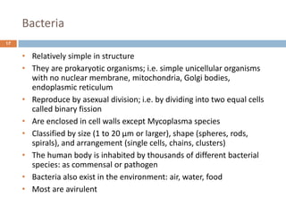 Bacteria
17
• Relatively simple in structure
• They are prokaryotic organisms; i.e. simple unicellular organisms
with no nuclear membrane, mitochondria, Golgi bodies,
endoplasmic reticulum
• Reproduce by asexual division; i.e. by dividing into two equal cells
called binary fission
• Are enclosed in cell walls except Mycoplasma species
• Classified by size (1 to 20 µm or larger), shape (spheres, rods,
spirals), and arrangement (single cells, chains, clusters)
• The human body is inhabited by thousands of different bacterial
species: as commensal or pathogen
• Bacteria also exist in the environment: air, water, food
• Most are avirulent
 