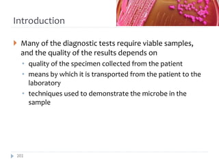 Introduction
 Many of the diagnostic tests require viable samples,
and the quality of the results depends on
• quality of the specimen collected from the patient
• means by which it is transported from the patient to the
laboratory
• techniques used to demonstrate the microbe in the
sample
202
 
