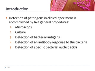 Introduction
 Detection of pathogens in clinical specimens is
accomplished by five general procedures:
1. Microscopy
2. Culture
3. Detection of bacterial antigens
4. Detection of an antibody response to the bacteria
5. Detection of specific bacterial nucleic acids
203
 