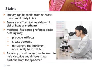 Stains
 Smears can be made from relevant
tissues and body fluids
 Smears are fixed to the slides with
either heat or methanol
 Methanol fixation is preferred since
heating may
• produce artifacts
• create aerosols
• not adhere the specimen
adequately to the slide
 A variety of stains can then be used to
help visualize and differentiate
bacteria from the specimen
210
 