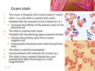 1. The smear is flooded with crystal violet (10 stain)
2. After ~15 s, the slide is washed with water
3. flooded with the mordant Gram’s iodine for 15 s
 increases the affinity of the primary stain to the
bacterial cell
4. The slide is washed with water
5. Flooded with decolorizing agent acetone-alcohol
 remove the primary stain from a Gram-
negative cell
 Gram-positive bacterial cells retain the primary
stain
6. The slide is washed immediately
7. counterstained with safranin for at least 15 s
8. This slide is then washed, blotted dry, and
examined by light microscopy at ×1,000
magnification
Gram stain
212
 
