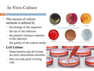 In Vitro Culture
222
• The success of culture
methods is defined by
• the biology of the organism
• the site of the infection
• the patient’s immune response
to the infection
• the quality of the culture media
• Cell Culture
• Some bacteria and all viruses
are strict intracellular microbes
• they can only grow in living
cells
 