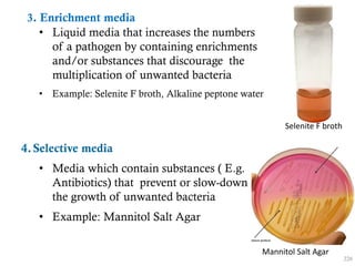 3. Enrichment media
• Liquid media that increases the numbers
of a pathogen by containing enrichments
and/or substances that discourage the
multiplication of unwanted bacteria
• Example: Selenite F broth, Alkaline peptone water
4.Selective media
• Media which contain substances ( E.g.
Antibiotics) that prevent or slow-down
the growth of unwanted bacteria
• Example: Mannitol Salt Agar
226
Selenite F broth
Mannitol Salt Agar
 