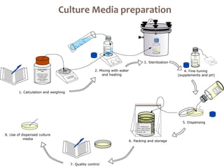 Culture Media preparation
228
 