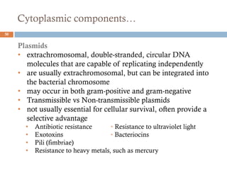 Cytoplasmic components…
50
Plasmids
• extrachromosomal, double-stranded, circular DNA
molecules that are capable of replicating independently
• are usually extrachromosomal, but can be integrated into
the bacterial chromosome
• may occur in both gram-positive and gram-negative
• Transmissible vs Non-transmissible plasmids
• not usually essential for cellular survival, often provide a
selective advantage
• Antibiotic resistance • Resistance to ultraviolet light
• Exotoxins • Bacteriocins
• Pili (fimbriae)
• Resistance to heavy metals, such as mercury
 