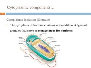 Cytoplasmic components…
53
Cytoplasmic inclusion (Granule)
• The cytoplasm of bacteria contains several different types of
granules that serve as storage areas for nutrients
 
