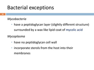 Bacterial exceptions
66
Mycobacteria
• have a peptidoglycan layer (slightly different structure)
surrounded by a wax like lipid coat of mycolic acid
Mycoplasma
• have no peptidoglycan cell wall
• incorporate sterols from the host into their
membranes
 