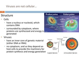 Viruses are not cellular…
7
Structure
• Cells
• have a nucleus or nucleoid, which
contains DNA
• surrounded by cytoplasm, where
proteins are synthesized and energy is
generated
• Viruses
• have an inner core of genetic material
(either DNA or RNA)
• no cytoplasm, and so they depend on
host cells to provide the machinery for
protein synthesis and energy generation
 