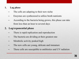 1. Lag phase
– The cells are adapting to their new niche
– Enzymes are synthesized to utilize broth nutrients
– According to the bacteria being grown, this phase can take
from less than an hour to several days
2. Log/exponential phase
– There is rapid replication and reproduction
– The bacteria are dividing at their greatest rate
– Metabolic activity peaked high
– The new cells are young, delicate and immature
– These cells are susceptible to antibiotics and UV radiation
70
 