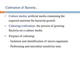 Cultivation of Bacteria…
80
• Culture media: artificial media containing the
required nutrients for bacterial growth
• Culturing/cultivation: the process of growing
Bacteria on a culture media
• Purpose of culturing:
- Isolation and identification of micro-organisms
- Performing anti-microbial sensitivity tests
 