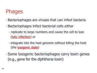 8
Phages
• Bacteriophages are viruses that can infect bacteria
• Bacteriophages infect bacterial cells either
• replicate to large numbers and cause the cell to lyse
(lytic infection) or
• integrate into the host genome without killing the host
(the lysogenic state)
• Some lysogenic bacteriophages carry toxin genes
(e.g., gene for the diphtheria toxin)
94
 