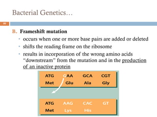 Bacterial Genetics…
B. Frameshift mutation
• occurs when one or more base pairs are added or deleted
• shifts the reading frame on the ribosome
• results in incorporation of the wrong amino acids
“downstream” from the mutation and in the production
of an inactive protein
99
 