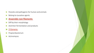  Parasite and pathogenic for human and animals
 Belong to causative agents
 Anaerobic non filaments:
 Diff by their morphology
 And their fermentation and products
 2 Genera:
 Propionibacterium
 Actinomyces
 