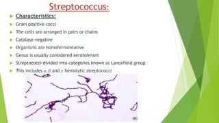 Streptococcus:
 Characteristics:
 Gram positive cocci
 The cells are arranged in pairs or chains
 Catalase-negative
 Organisms are homofermentative
 Genus is usually considered aerotolerant
 Streptococci divided into categories known as Lancefield group
 This includes 𝛼, 𝛽 and 𝛾 hemolytic streptococci
 
