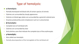 Type of hemolysis:
 α-hemolysis:
 Partially hemolyzed red blood cells of certain species of animals
 Colonies are surrounded by cloudy appearance
 Colonies on blood agar plates are surrounded by a greenish-colored zone
 Enzymes produced by some streptococci such as S. pneumoniae
 β-hemolytic:
 Complete lysis of red blood cells
 Colonies are surrounded by clear
 And colorless zone that indicate the complete lysis of the erythrocytes
 γ-hemolytic:
 Also called non-hemolytic
 Partially decomposition of the hemoglobin of the red blood cell
 