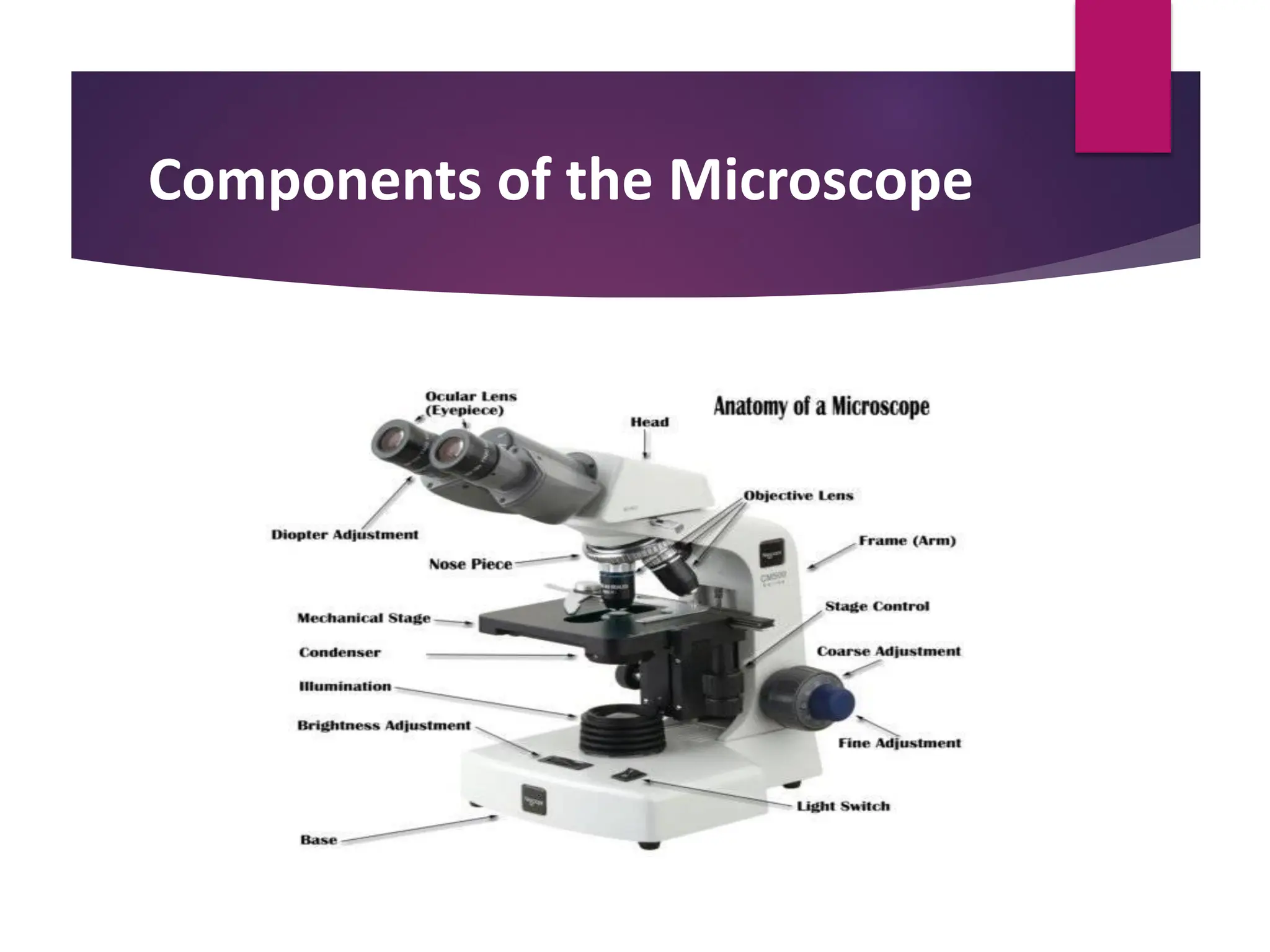 Components of the Microscope
 