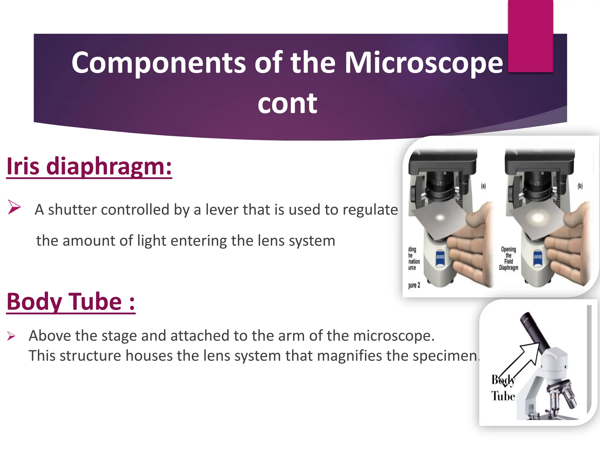 Components of the Microscope
cont
Iris diaphragm:
 A shutter controlled by a lever that is used to regulate
the amount of light entering the lens system
Body Tube :
 Above the stage and attached to the arm of the microscope.
This structure houses the lens system that magnifies the specimen.
 