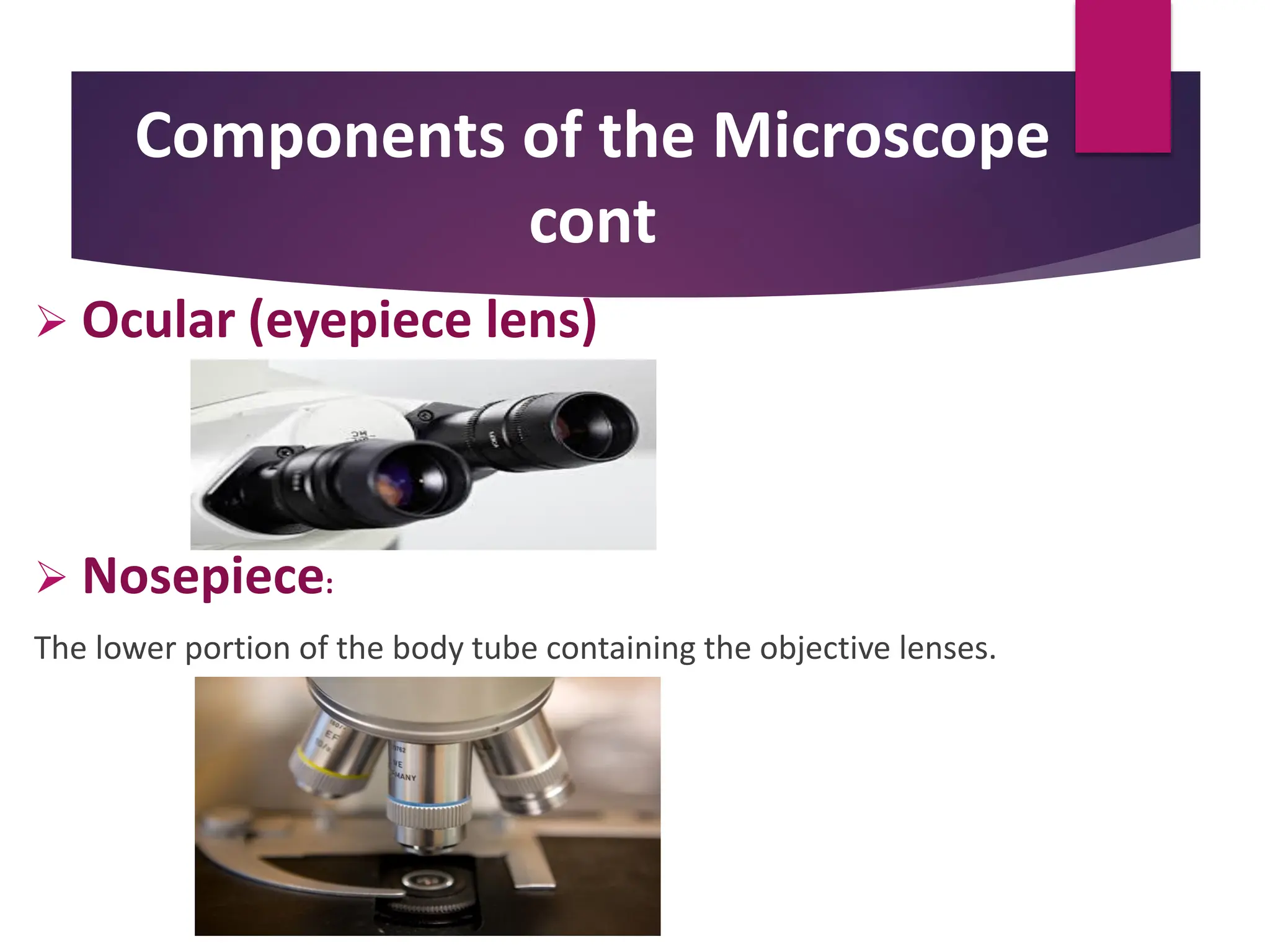 Components of the Microscope
cont
 Ocular (eyepiece lens)
 Nosepiece:
The lower portion of the body tube containing the objective lenses.
 