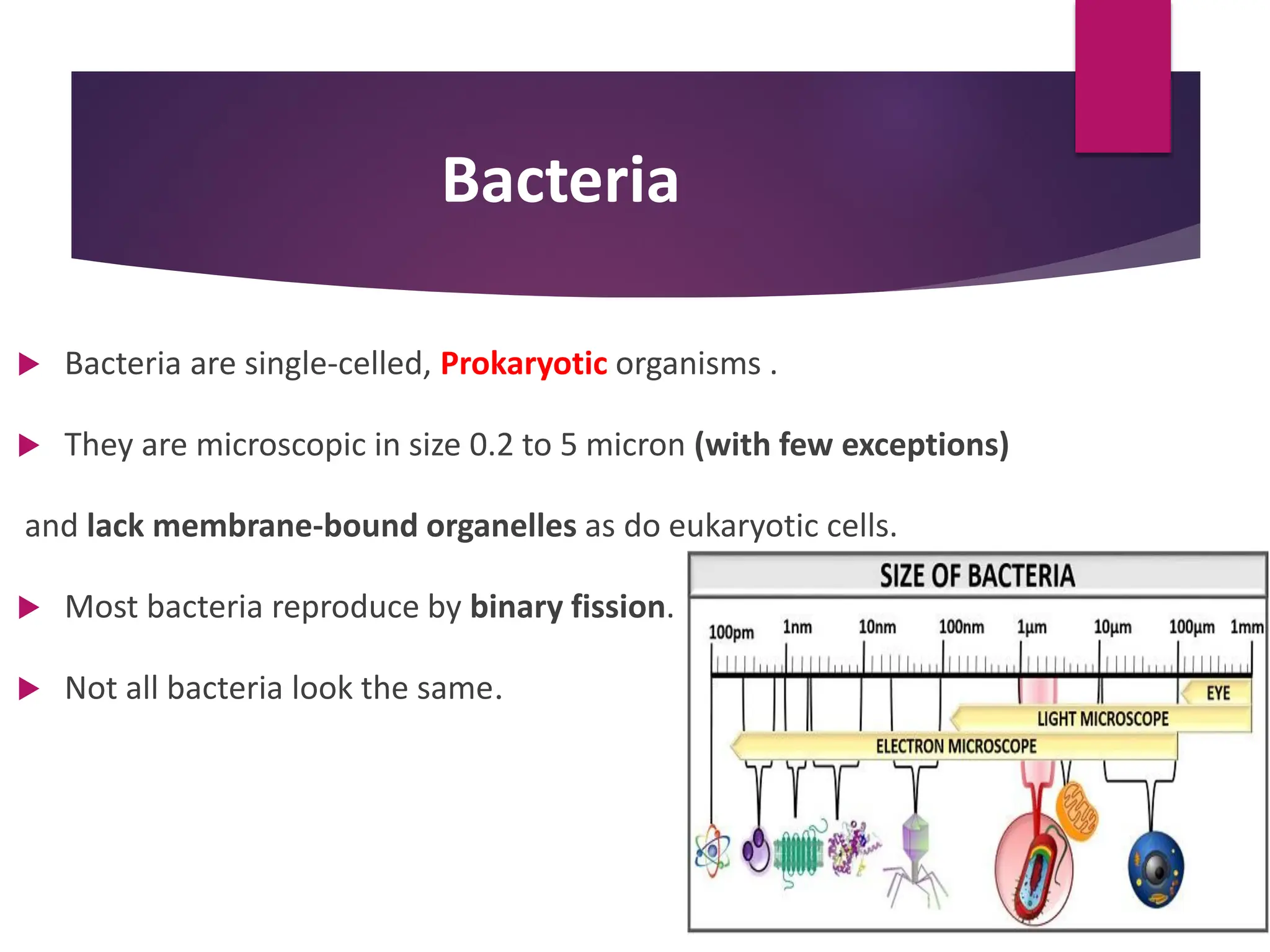 Bacteria
 Bacteria are single-celled, Prokaryotic organisms .
 They are microscopic in size 0.2 to 5 micron (with few exceptions)
and lack membrane-bound organelles as do eukaryotic cells.
 Most bacteria reproduce by binary fission.
 Not all bacteria look the same.
 