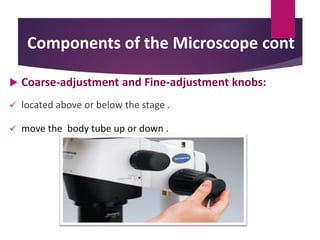 Components of the Microscope cont
 Coarse-adjustment and Fine-adjustment knobs:
 located above or below the stage .
 move the body tube up or down .
 