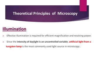 Theoretical Principles of Microscopy
Illumination
 Effective illumination is required for efficient magnification and resolving power.
 Since the intensity of daylight is an uncontrolled variable, artificial light from a
tungsten lamp is the most commonly used light source in microscopy .
 