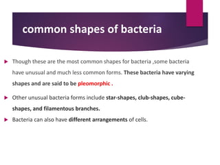 Though these are the most common shapes for bacteria ,some bacteria
have unusual and much less common forms. These bacteria have varying
shapes and are said to be pleomorphic .
 Other unusual bacteria forms include star-shapes, club-shapes, cube-
shapes, and filamentous branches.
 Bacteria can also have different arrangements of cells.
common shapes of bacteria
 