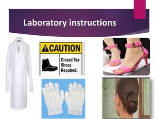 Laboratory instructions
 