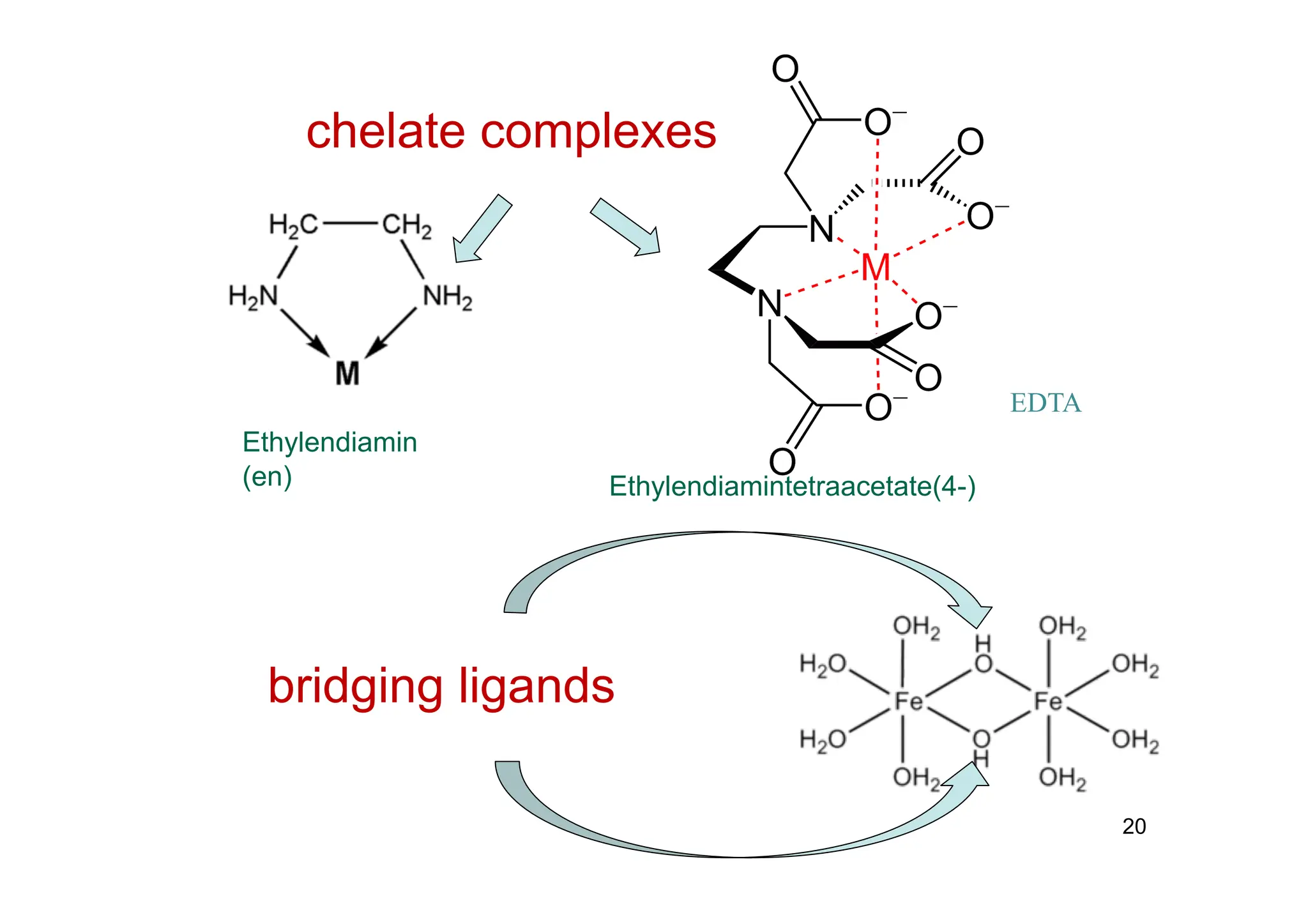 20
chelate complexes
Ethylendiamin
(en)
EDTA
bridging ligands
Ethylendiamintetraacetate(4-)
 