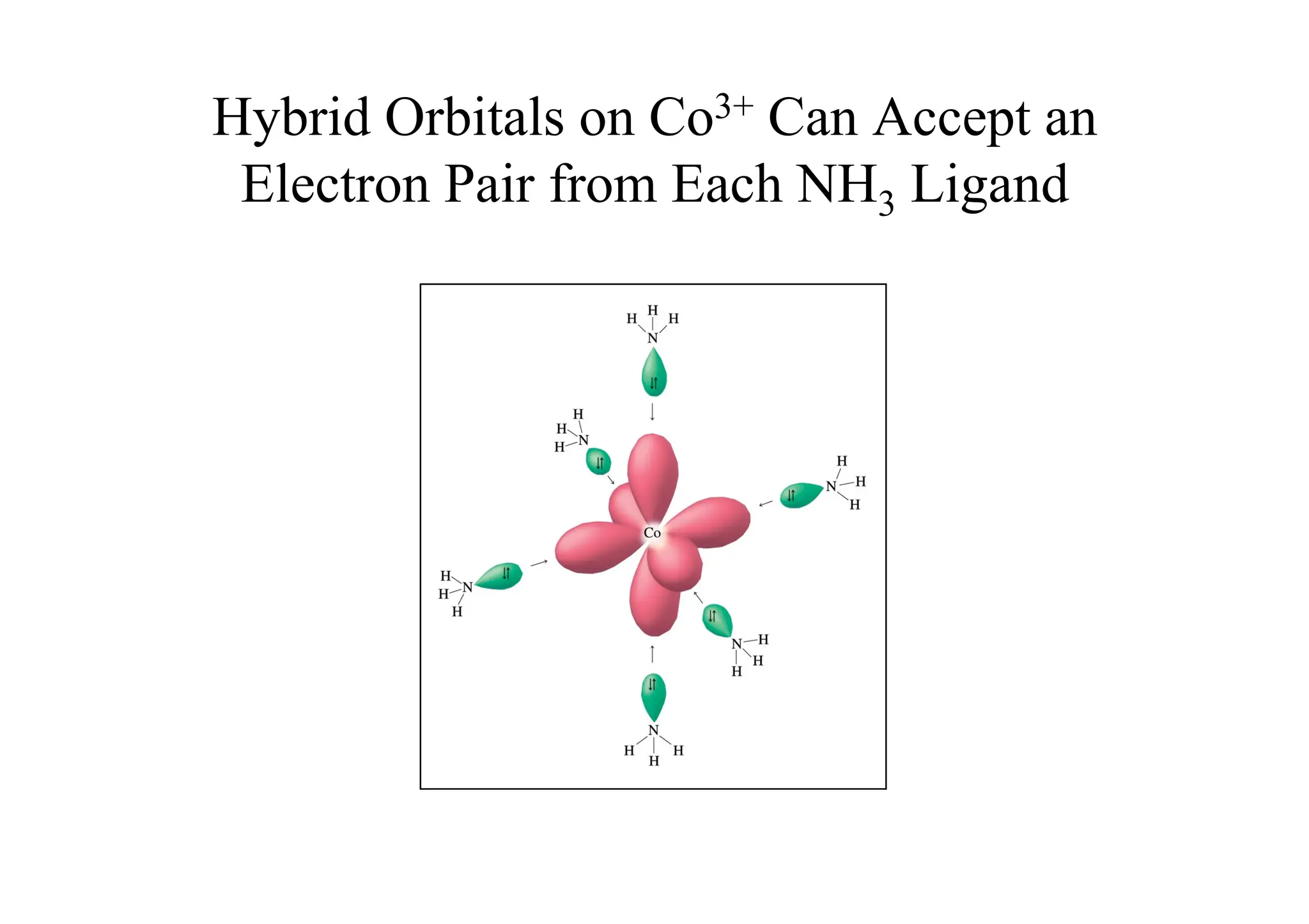 Hybrid Orbitals on Co3+ Can Accept an
Electron Pair from Each NH3 Ligand
 