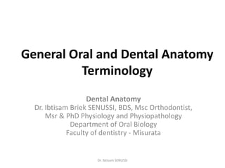 General Oral and Dental Anatomy
Terminology
Dental Anatomy
Dr. Ibtisam Briek SENUSSI, BDS, Msc Orthodontist,
Msr & PhD Physiology and Physiopathology
Department of Oral Biology
Faculty of dentistry - Misurata
Dr. Ibtisam SENUSSI
 