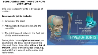 SOME JOINTS DON'T MOVE OR MOVE
VERY LITTLE
One way to classify joints is by range of
motion.
Immovable joints include:
 Sutures of the skull
 Articulations between teeth and the
mandible
 The joint located between the first pair
of ribs and the sternum.
Some joints have slight movement; an
example is the distal joint between the
tibia and fibula. Joints that allow a lot of
motion (think of the shoulder, wrist, hip,
and ankle) are located in the upper and
lower limbs.
 