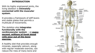 INTRODUCTION
With its highly engineered joints, the
living skeleton is intimately
connected with the muscular
system.
It provides a framework of stiff levers
and stable plates that permits a
multitude of movements.
The skeleton also integrates
functionally with the
cardiovascular system – as every
second, millions of fresh blood
cells pour out of the bone
marrow.
A healthy diet that provides enough
minerals, especially calcium, along
with regular moderate exercise, can
reduce the risks of many bone and
 