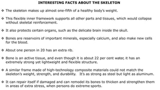 INTERESTING FACTS ABOUT THE SKELETON
 The skeleton makes up almost one-fifth of a healthy body’s weight.
 This flexible inner framework supports all other parts and tissues, which would collapse
without skeletal reinforcement.
 It also protects certain organs, such as the delicate brain inside the skull.
 Bones are reservoirs of important minerals, especially calcium, and also make new cells
for the blood.
 About one person in 20 has an extra rib.
 Bone is an active tissue, and even though it is about 22 per cent water, it has an
extremely strong yet lightweight and flexible structure.
 A similar frame made of high-technology composite materials could not match the
skeleton’s weight, strength, and durability. It’s as strong as steel but light as aluminum.
 It can repair itself if damaged and can remodel its bones to thicken and strengthen them
in areas of extra stress, when persons do extreme sports.
 