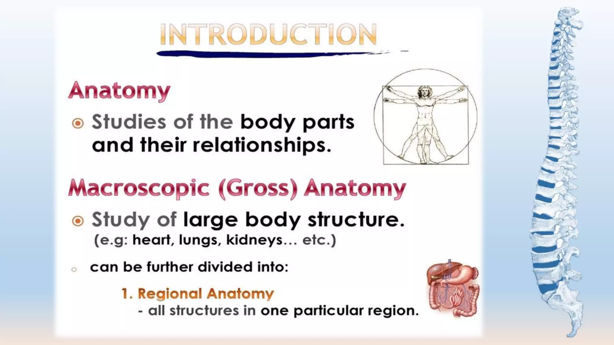 General Osteology by Dr. Rahul Singh Thakur | PPT