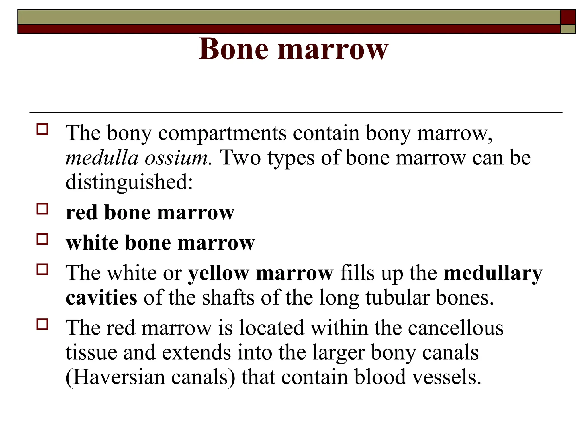 Bone marrow
 The bony compartments contain bony marrow,
medulla ossium. Two types of bone marrow can be
distinguished:
 red bone marrow
 white bone marrow
 The white or yellow marrow fills up the medullary
cavities of the shafts of the long tubular bones.
 The red marrow is located within the cancellous
tissue and extends into the larger bony canals
(Haversian canals) that contain blood vessels.
 