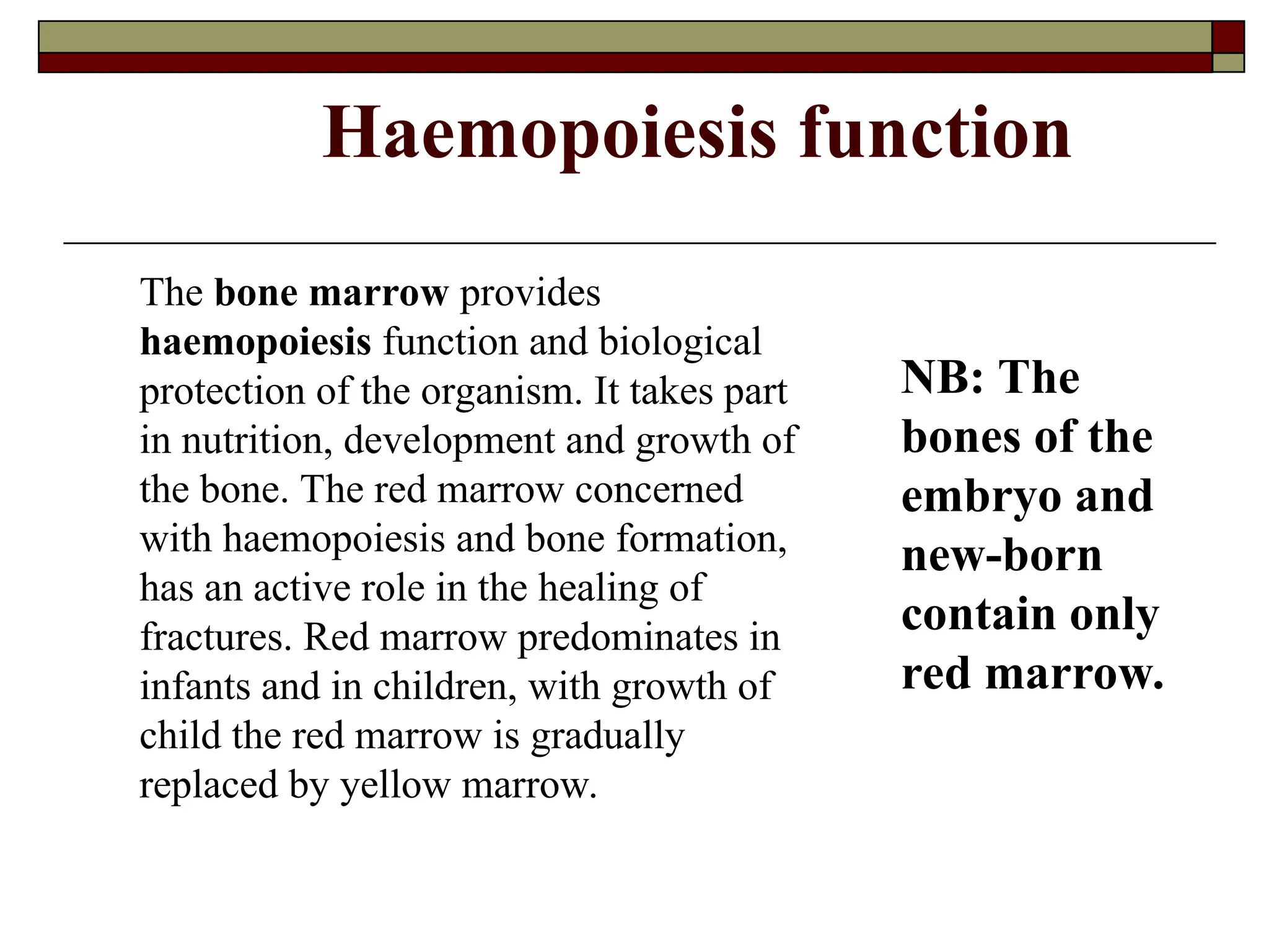 Haemopoiesis function
The bone marrow provides
haemopoiesis function and biological
protection of the organism. It takes part
in nutrition, development and growth of
the bone. The red marrow concerned
with haemopoiesis and bone formation,
has an active role in the healing of
fractures. Red marrow predominates in
infants and in children, with growth of
child the red marrow is gradually
replaced by yellow marrow.
NB: The
bones of the
embryo and
new-born
contain only
red marrow.
 