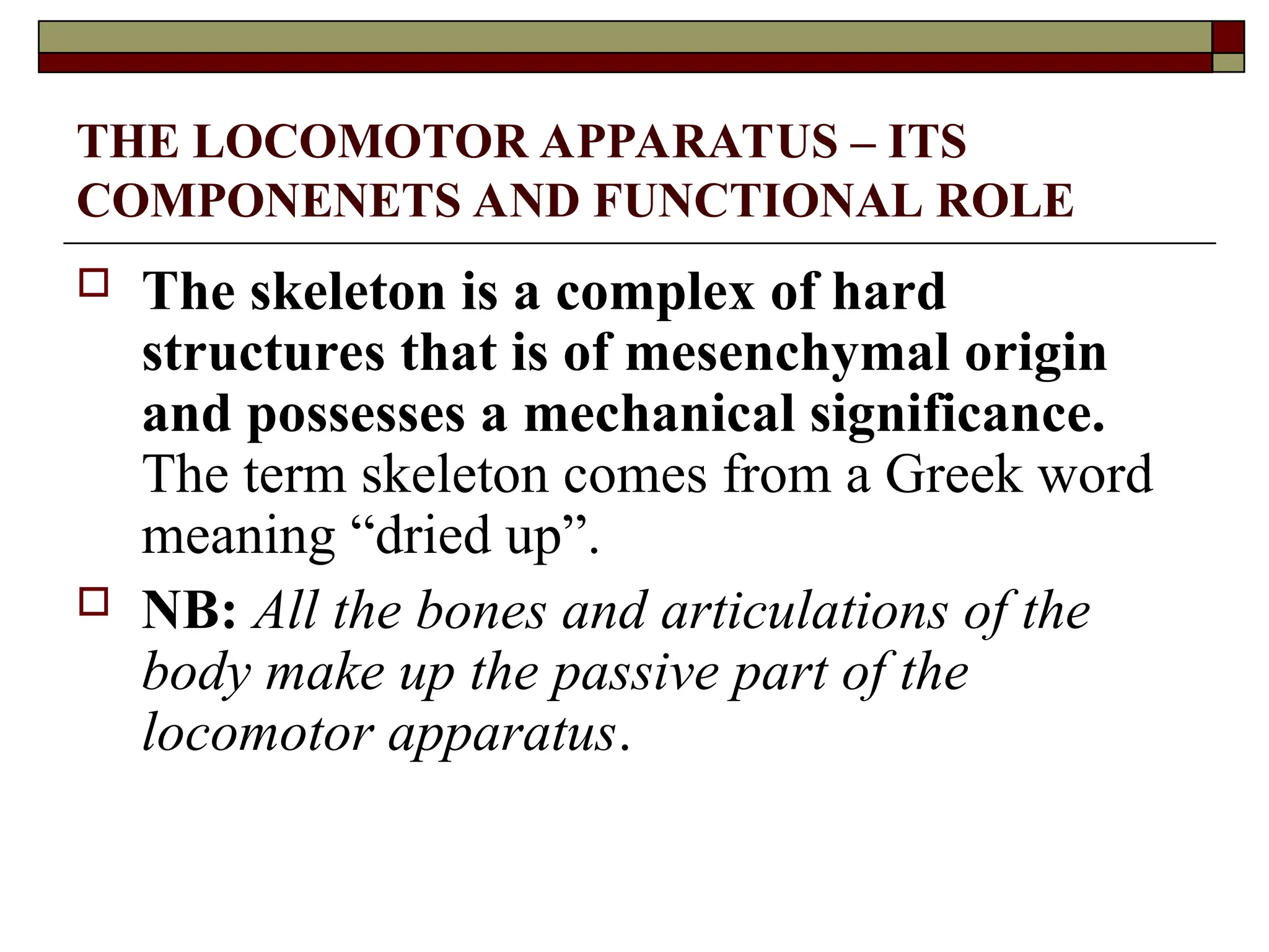 THE LOCOMOTOR APPARATUS – ITS
COMPONENETS AND FUNCTIONAL ROLE
 The skeleton is a complex of hard
structures that is of mesenchymal origin
and possesses a mechanical significance.
The term skeleton comes from a Greek word
meaning “dried up”.
 NB: All the bones and articulations of the
body make up the passive part of the
locomotor apparatus.
 